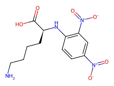 (S)-6-Amino-2-(2,4-dinitro-phenylamino)-hexanoic acid structure