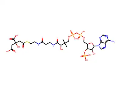 citryl-CoA structure