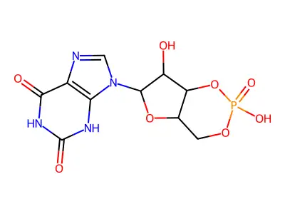 cXMP structure