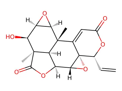 Inumakilactone B structure