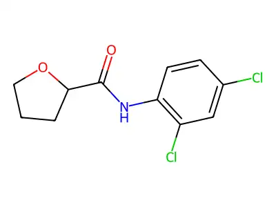 N-(2,4-dichlorophenyl)oxolane-2-carboxamide structure
