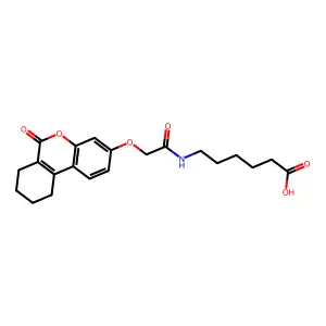 EiM07-28754 structure