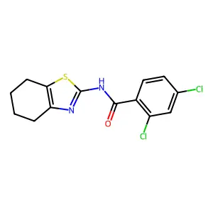 2,4-dichloro-N-(4,5,6,7-tetrahydro-1,3-benzothiazol-2-yl)benzamide structure