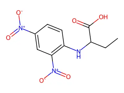 2-(2,4-Dinitroanilino)butanoic acid structure