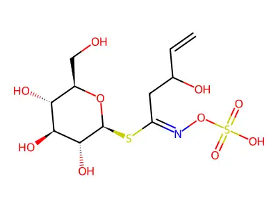 HBEG structure