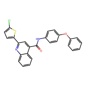 2-(5-chlorothiophen-2-yl)-N-(4-phenoxyphenyl)quinoline-4-carboxamide structure