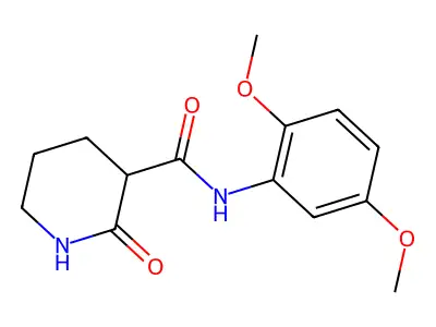 N-(2,5-dimethoxyphenyl)-2-oxopiperidine-3-carboxamide structure