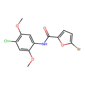 5-bromo-N-(4-chloro-2,5-dimethoxyphenyl)furan-2-carboxamide structure