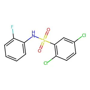 2,5-二氯-N-(2-氟苯基)苯磺酰胺 structure