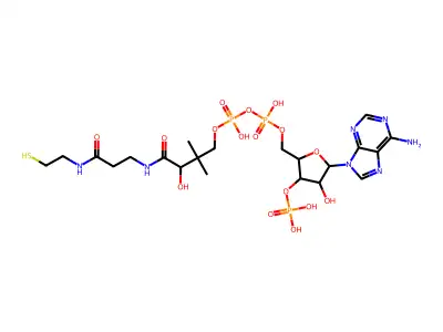 L-coenzyme A structure