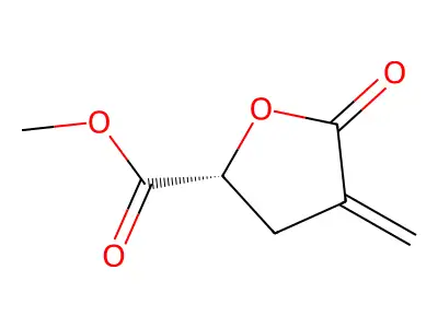 (2R)-2-methyl-4-methylidene-5-oxooxolane-2-carboxylic acid structure