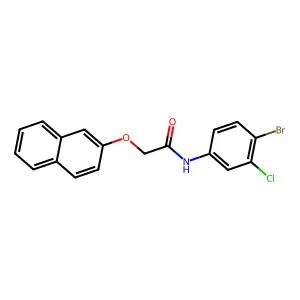 N-(4-bromo-3-chlorophenyl)-2-(2-naphthyloxy)acetamide structure