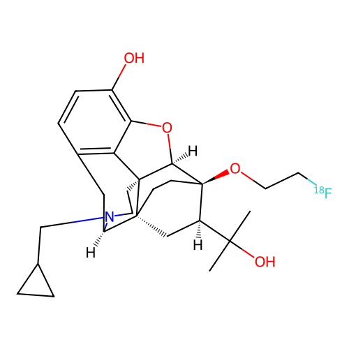 Fdpn F-18 structure