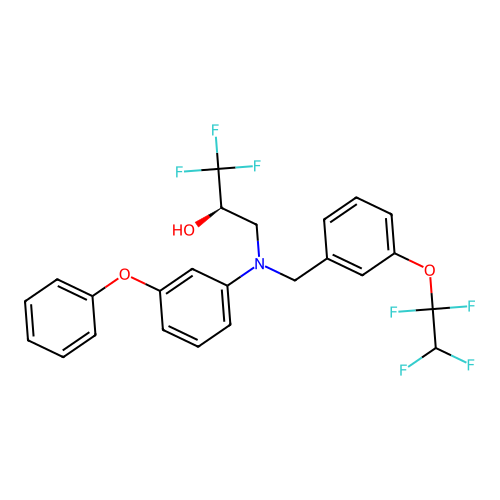 D04WPM structure