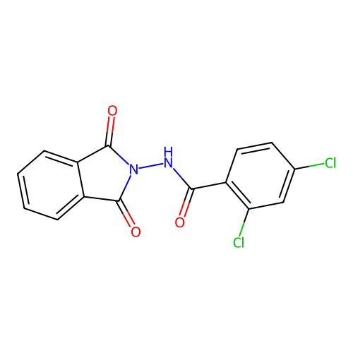 2,4-dichloro-N-(1,3-dioxo-1,3-dihydro-2H-isoindol-2-yl)benzamide structure
