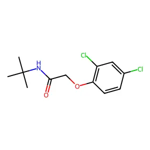 N-(tert-butyl)-2-(2,4-dichlorophenoxy)acetamide structure