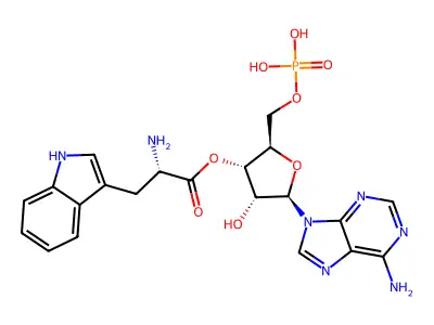 Tryptophanyl-5'amp structure