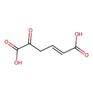 5-Oxo-2-hexenedioic acid structure
