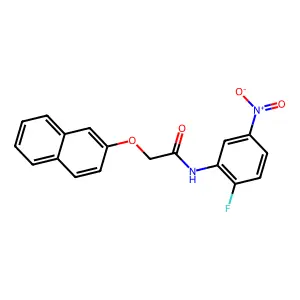 N-(2-fluoro-5-nitrophenyl)-2-(2-naphthyloxy)acetamide structure