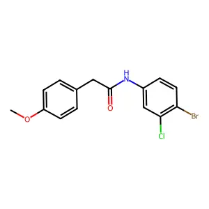 N-(4-bromo-3-chlorophenyl)-2-(4-methoxyphenyl)acetamide structure
