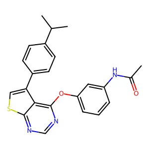 N-[3-[5-(4-propan-2-ylphenyl)thieno[2,3-d]pyrimidin-4-yl]oxyphenyl]acetamide structure