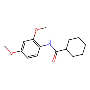 N-(2,4-dimethoxyphenyl)cyclohexanecarboxamide structure