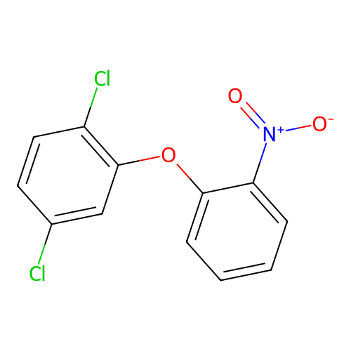 1,4-Dichloro-2-(2-nitrophenoxy)benzene structure