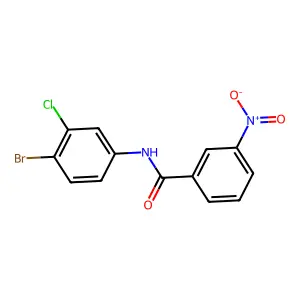 N-(4-溴-3-氯苯基)-3-硝基苯甲酰胺 structure