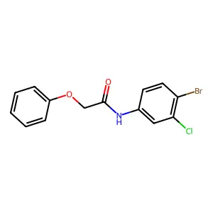 N-(4-bromo-3-chlorophenyl)-2-phenoxyacetamide structure