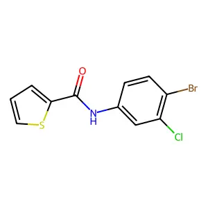 N-(4-bromo-3-chlorophenyl)-2-thiophenecarboxamide structure
