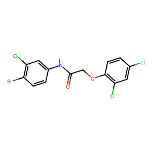 N-(4-bromo-3-chlorophenyl)-2-(2,4-dichlorophenoxy)acetamide structure
