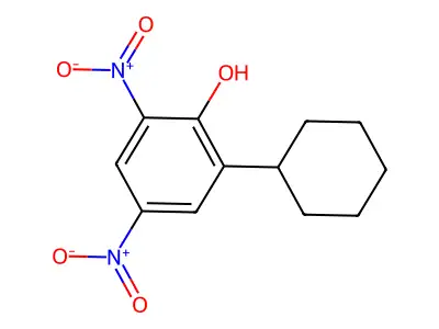 Dynone II structure