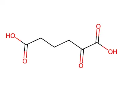 Α-酮己二酸 structure