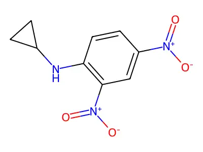 N-cyclopropyl-2,4-dinitroaniline structure