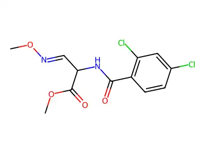 Methyl 2-[(2,4-dichlorobenzoyl)amino]-3-(methoxyimino)propanoate structure