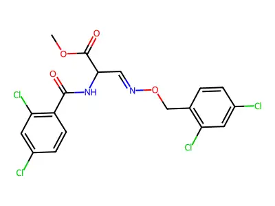 Methyl 2-[(2,4-dichlorobenzoyl)amino]-3-[(2,4-dichlorophenyl)methoxyimino]propanoate structure