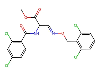 Methyl 2-[(2,4-dichlorobenzoyl)amino]-3-[(2,6-dichlorophenyl)methoxyimino]propanoate structure