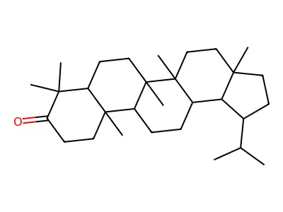 Lupan-3-one structure