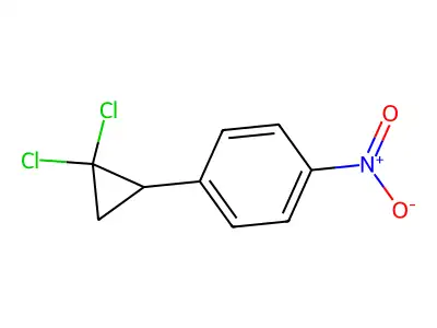 1-(2,2-Dichlorocyclopropyl)-4-nitrobenzene structure