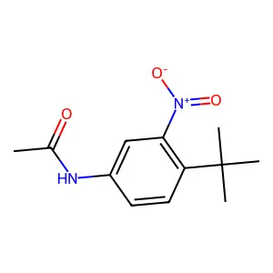 N-(4-叔丁基-3-硝基苯基)乙酰胺 structure