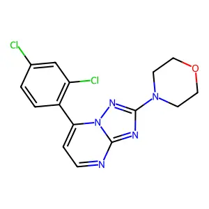 4-[7-(2,4-Dichlorophenyl)-[1,2,4]triazolo[1,5-a]pyrimidin-2-yl]morpholine structure