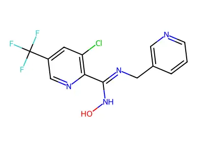 1G-006 structure