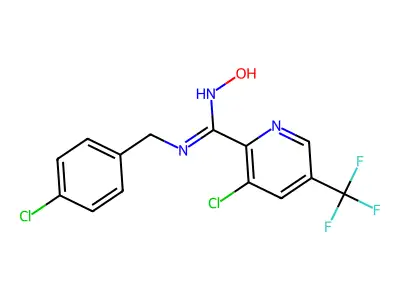 1G-021 structure