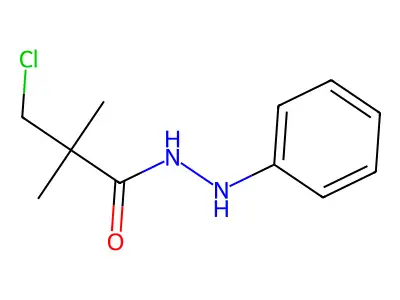 3-chloro-2,2-dimethyl-N'-phenylpropanehydrazide structure