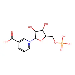 烟酸单核苷酸 structure