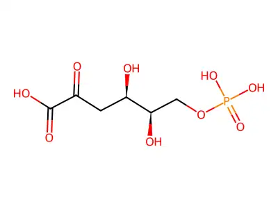 6-Phospho-2-dehydro-3-deoxy-D-galactonic acid structure