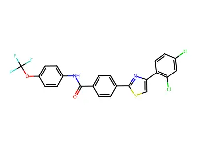 1G-404S structure