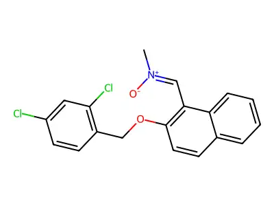 Bionet1_001262 structure