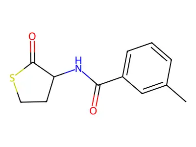 3-methyl-N-(2-oxotetrahydrothiophen-3-yl)benzamide structure