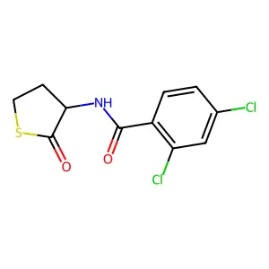 2,4-Dichloro-N-(tetrahydro-2-oxo-3-thienyl)benzamide structure